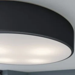 Gang|Loftlamper ^ TEMAR LIGHTING Loftlampe Cleo, Ø 50 cm, IP20, sort, metal, E27