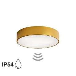 TEMAR LIGHTING Loftlamper > Loftlampe Cleo 400, guld, sensor, IP54, Ø 40 cm, metal
