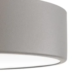 TEMAR LIGHTING Gang|Loftlamper > Loftlampe Cleo 300, IP54, Ø 30 cm grå