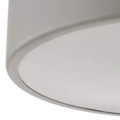 TEMAR LIGHTING Gang|Loftlamper > Loftlampe Cleo 300, IP54, Ø 30 cm grå