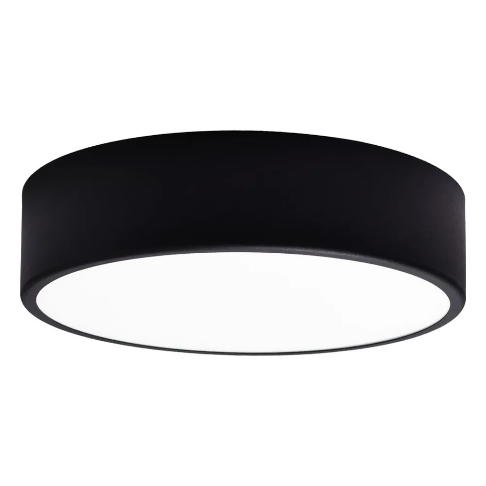 TEMAR LIGHTING Loftlamper|Loftlamper > Loftlampe Cleo 300, IP54, Ø 30 cm sort