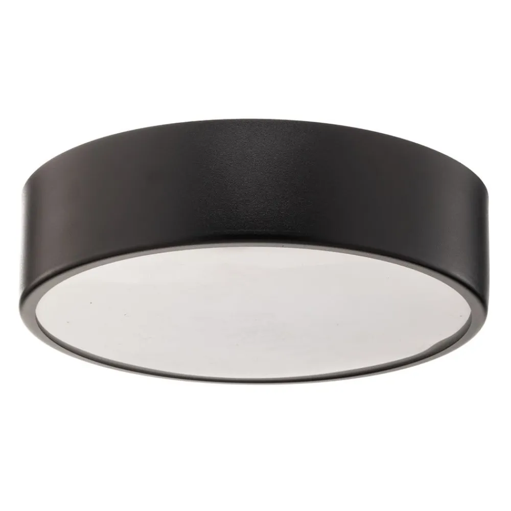 TEMAR LIGHTING Loftlamper|Loftlamper > Loftlampe Cleo 300, IP54, Ø 30 cm sort
