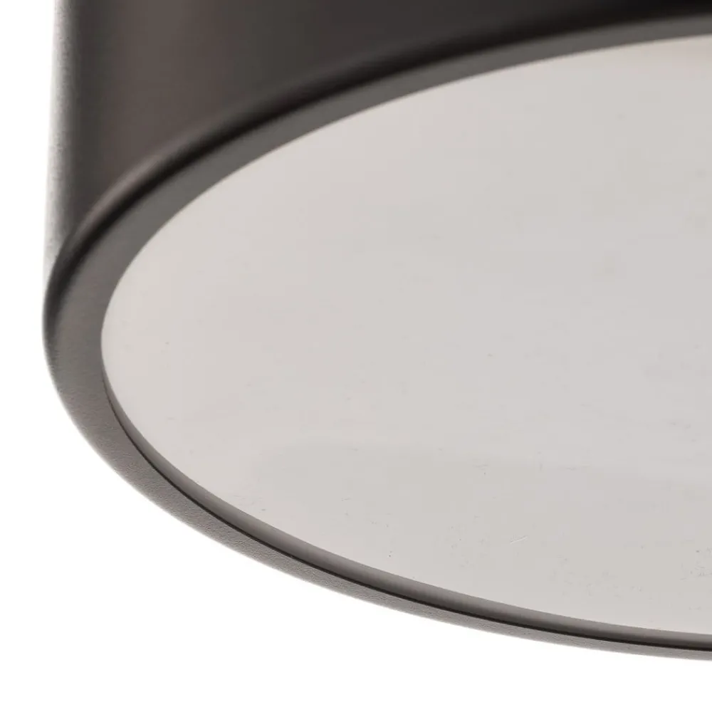 TEMAR LIGHTING Loftlamper|Loftlamper > Loftlampe Cleo 300, IP54, Ø 30 cm sort