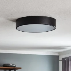 Loftlamper|Loftlamper ^ TEMAR LIGHTING Loftlampe Cleo 400, IP54, Ø 40 cm sort