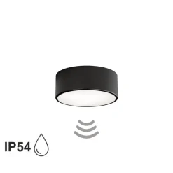 Loftlamper ^ TEMAR LIGHTING Loftlampe Cleo 200, sort, sensor, IP54, Ø 20 cm, metal