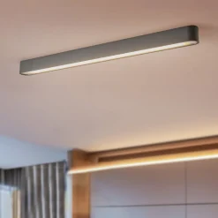 Loftlamper ^ Nowodvorski Lighting Loftlampe Soft, 95 x 6 cm, grafit, aluminium, G13
