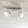 Eko-Light Loftlamper|Loftlamper > Loftspot Cloudy med 2 lyskilder, hvid