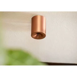 LOOM DESIGN Udendørs Loftlamper > LED-loftlampe Nyx, bronze, IP54