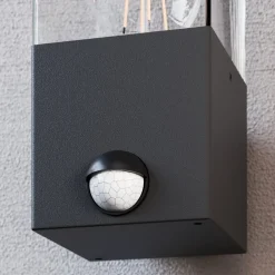 Lucande Væglampe Med Sensor|Væglamper > Keke udendørs væglampe med sensor