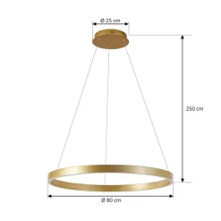 Lucande Pendellamper|Pendellamper > LED-hængelampe Yonam, Ø 80 cm, 1 lyskilde, guld, CCT
