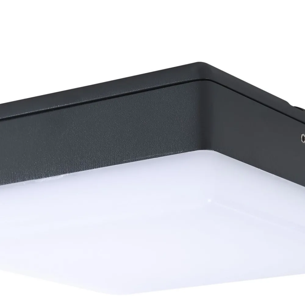 Lucande Udendørs Loftlamper > LED-loftlampe Thilo, 16 cm, antracit, sensor, IP54