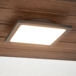 Lucande Terrassebelysning|Udendørs Loftlamper > LED udendørs loftlampe Mabella, 23 cm, sensor, IP65
