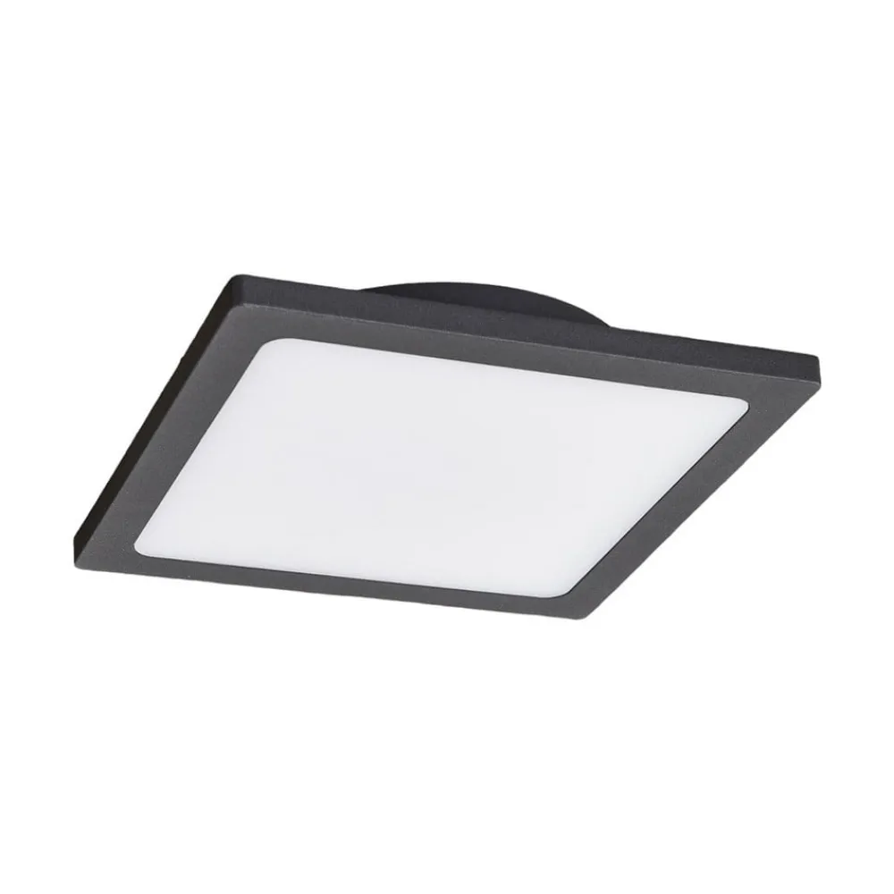 Terrassebelysning|Udendørs Loftlamper ^ Lucande LED udendørs loftlampe Mabella, 23 cm, antracit