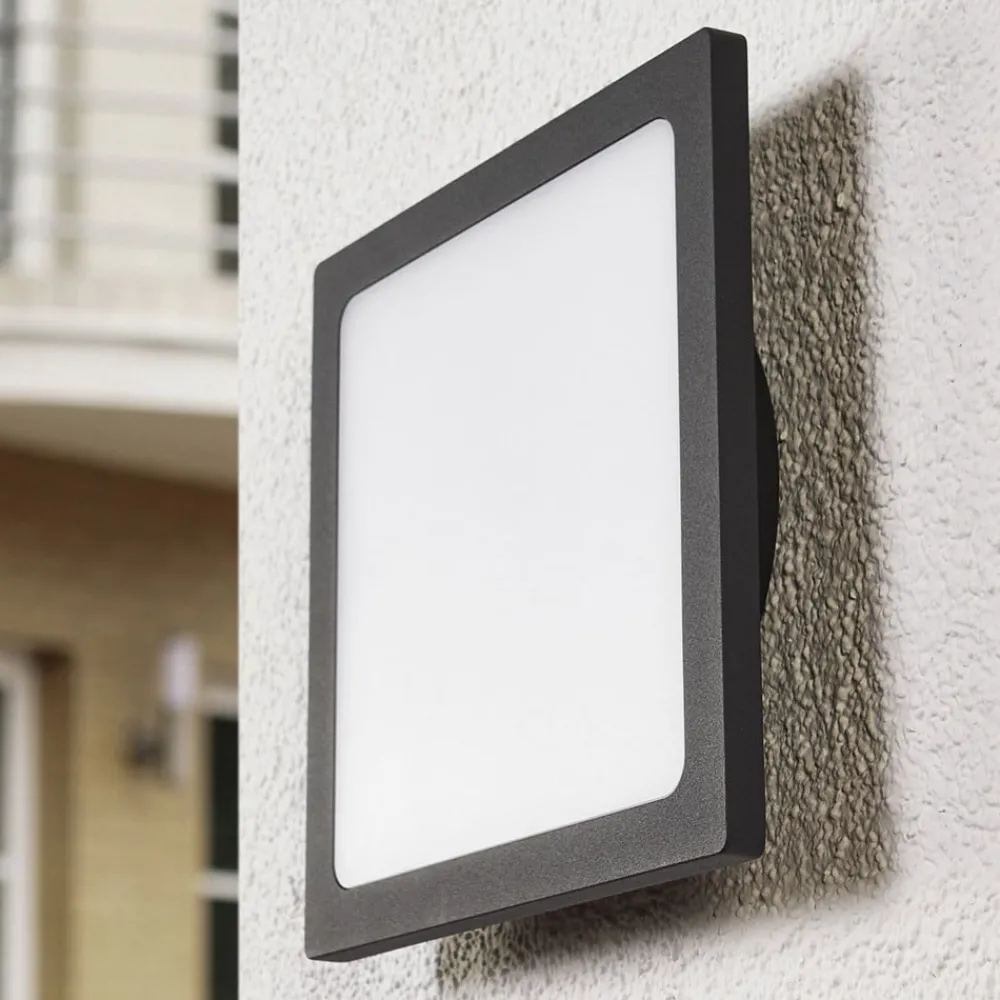 Terrassebelysning|Udendørs Loftlamper ^ Lucande LED udendørs loftlampe Mabella, 23 cm, antracit