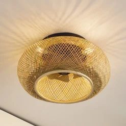 Lucande Loftventilatorer > loftventilator med lys Cordie, DC, lydsvag, Ø 53 cm