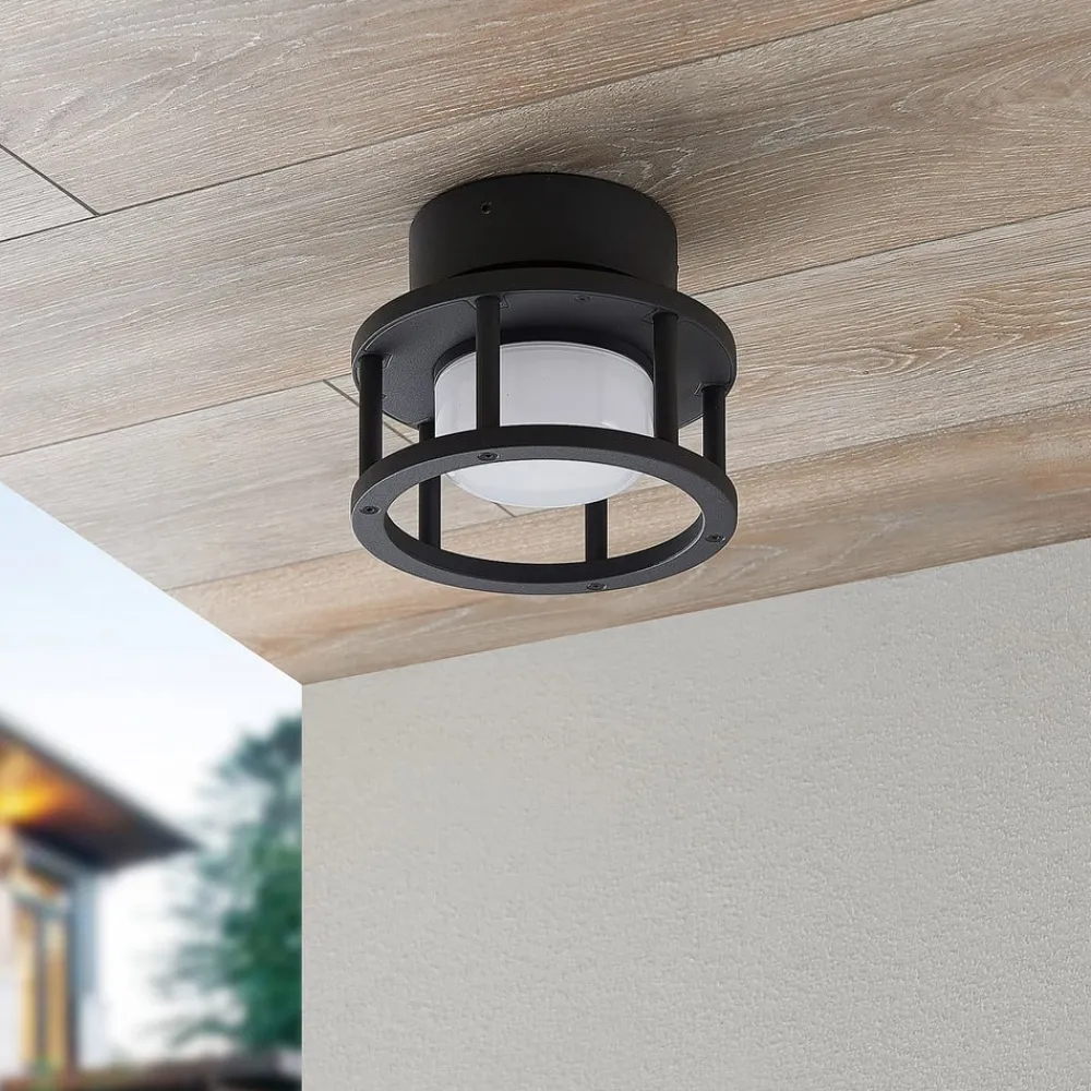 Lucande Terrassebelysning|Udendørs Loftlamper > udendørs loftlampe Berenike, Ø 17 cm, grå, GX53