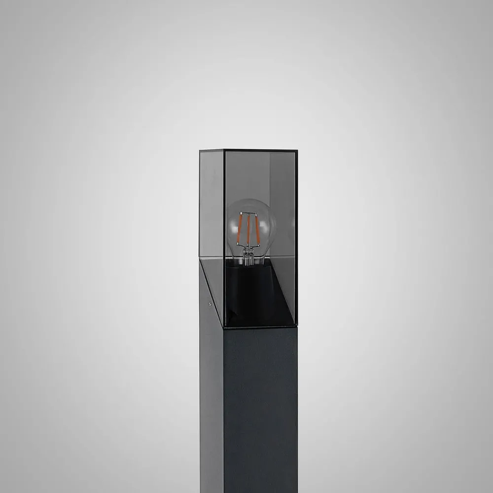 Lucande Terrassebelysning|Gadebelysning > vejlampe Fiola, 80 cm, antracit, IP54