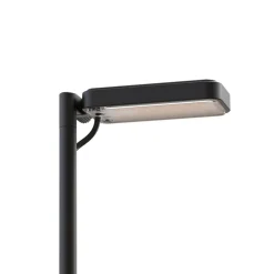 Luceplan Gadebelysning > LED-vejlampe Flia, 2 lyskilder, sort, plast
