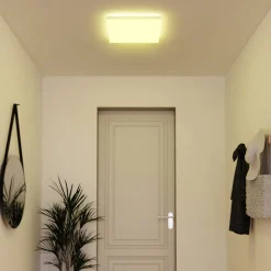 tint Loftlamper > Müller Licht farvet LED-panel Loris, 45x45cm