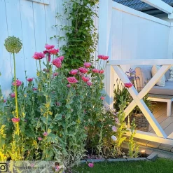 Terrassebelysning ^ tint Müller Licht LED udendørs spotlight Flores, sæt med 3 stk