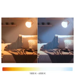 Filament Pære|Smarte Lyskilder ^ tint Müller Licht LED-globe G95 E27 5,5 W, guld
