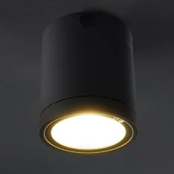 Heitronic Udendørs Loftlamper > Negro LED-loftlampe til udendørs brug