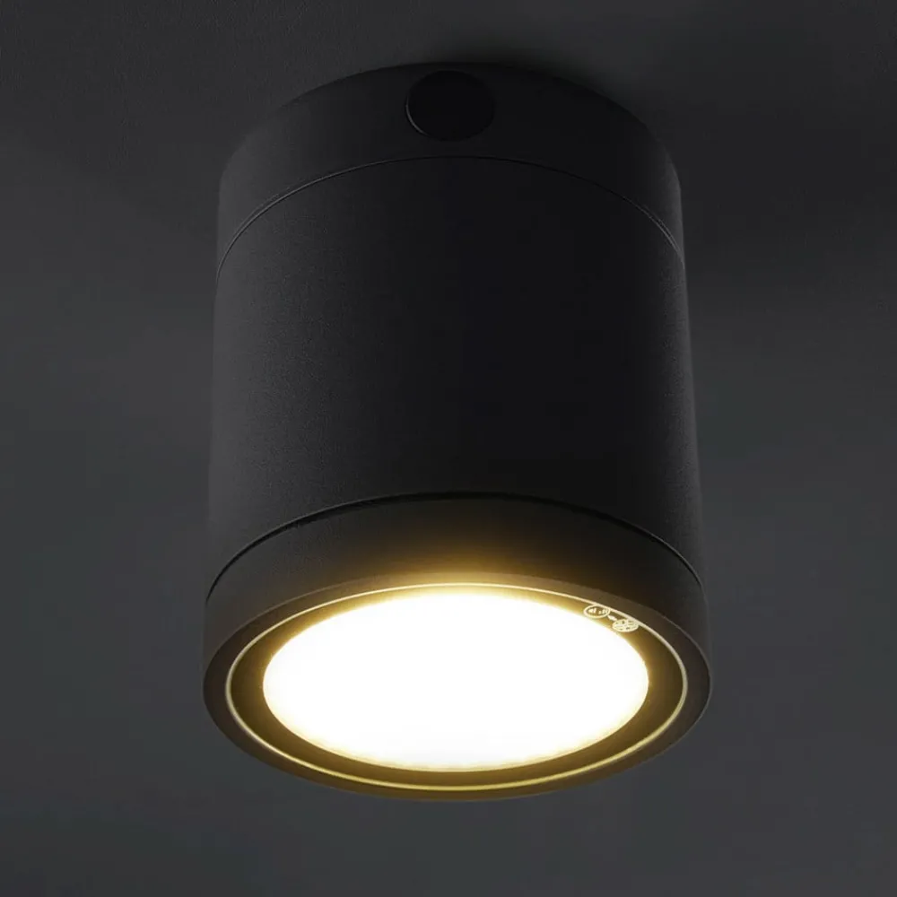 Heitronic Udendørs Loftlamper > Negro LED-loftlampe til udendørs brug