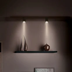 Heitronic Udendørs Loftlamper > Negro LED-loftlampe til udendørs brug