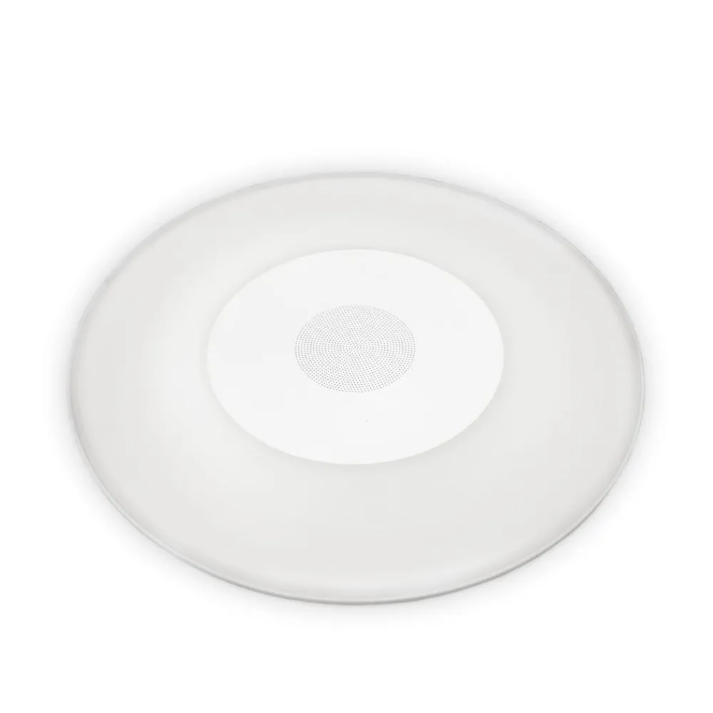Newgarden Fontæne- Og Undervandsbelysning > Wally Play poollampe RGBW speaker