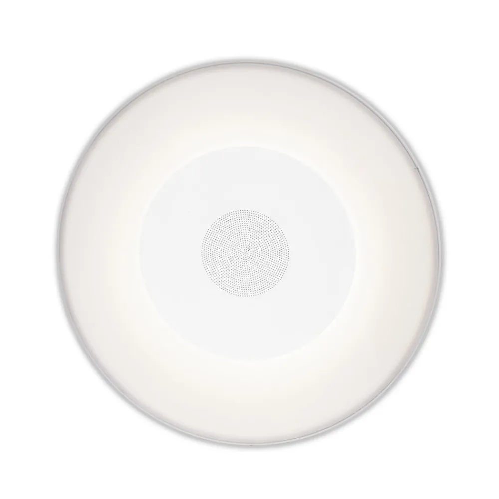 Newgarden Fontæne- Og Undervandsbelysning > Wally Play poollampe RGBW speaker
