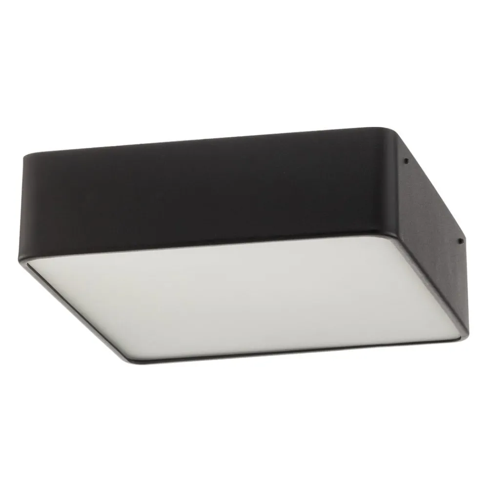 Argon Loftlamper > Oro loftslampe af stål og glas, sort, 25 cm