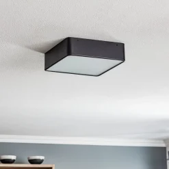 Argon Loftlamper > Oro loftslampe af stål og glas, sort, 25 cm