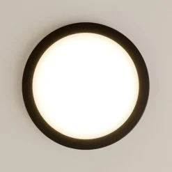 Paulmann Loftlamper > Abia LED-panel Ø 30cm 2.700 K mat sort