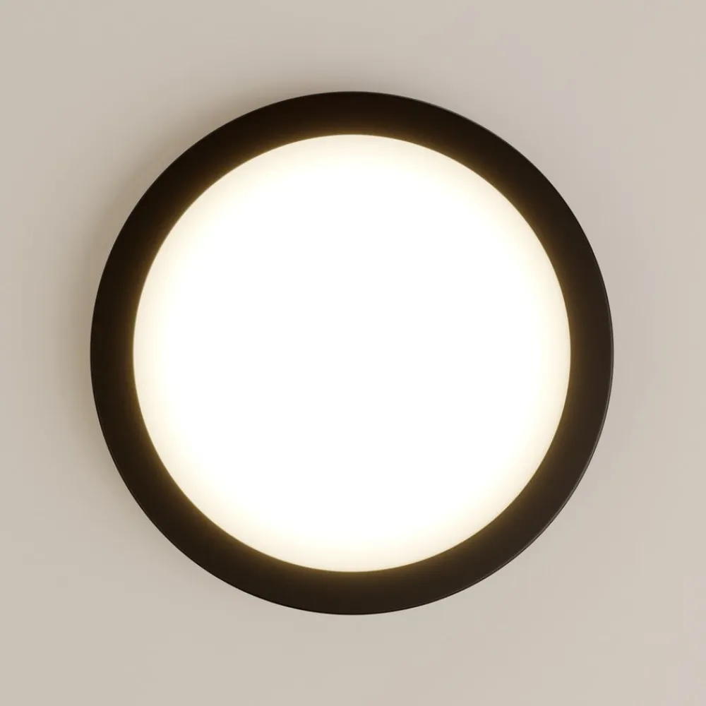 Paulmann Loftlamper > Abia LED-panel Ø 30cm 2.700 K mat sort