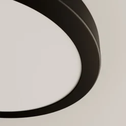 Paulmann Loftlamper > Abia LED-panel Ø 30cm 2.700 K mat sort