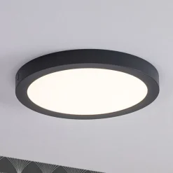 Paulmann Arbejdsrum/Kontor|Loftlamper > Abia LED-panel Ø 30cm 2.700 K mørkegråt