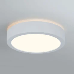 Paulmann Loftlamper > Aviar LED-loftlampe Ø 22 cm hvid 3.000 K