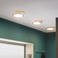 Loftlamper ^ Paulmann Aviar LED-loftlampe, 2.700 K Ø 30 cm krom