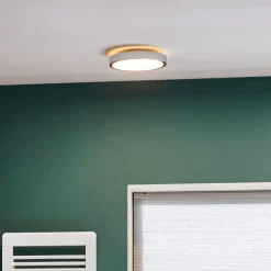 Loftlamper ^ Paulmann Aviar LED-loftlampe, 2.700 K Ø 30 cm krom