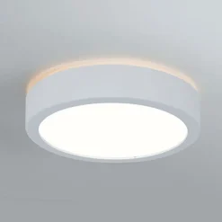 Paulmann Loftlamper > Aviar LED-loftlampe Ø 22 cm hvid 4.000 K