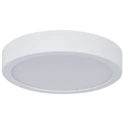 Paulmann Loftlamper > Aviar LED-loftlampe Ø 22 cm hvid 4.000 K