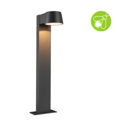 Gadebelysning ^ Paulmann Capea LED-gadelampe, antracitgrå aluminium