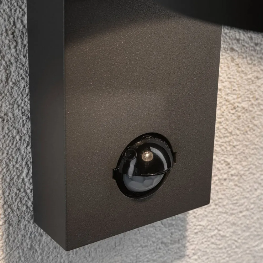 Paulmann Væglampe Med Sensor|Væglamper > Capea udendørs LED-væglampe med sensor
