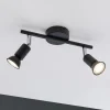Spotlights ^ Paulmann Carolina loftspot, 2 lyskilder, IP44