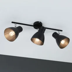 Paulmann Loftlamper > Davy loftlampe, sort, 3 lyskilder