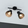 Paulmann Spotlights > Davy loftlampe, sort, 2 lyskilder