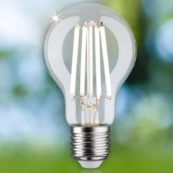 Paulmann Filament Pære|Led Pærer > Eco-Line LED-pære E27 4 W 840lm 4.000 K