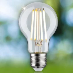 Paulmann Filament Pære|Led Pærer > Eco-Line LED-pære E27 2,5 W 525lm 3.000 K