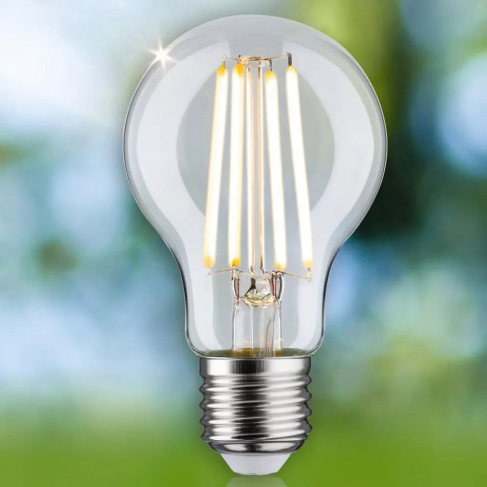Paulmann Filament Pære|Led Pærer > Eco-Line LED-pære E27 2,5 W 525lm 3.000 K
