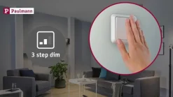 Paulmann Loftlamper|Indbygningsspots > Gil LED indbygget sort mat/guld